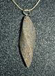 Agatized Dinosaur Bone Pendant - Green Spiderweb #4277-1